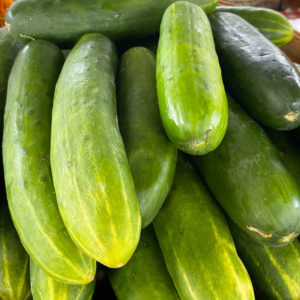 Witten Farm Market Cucumbers