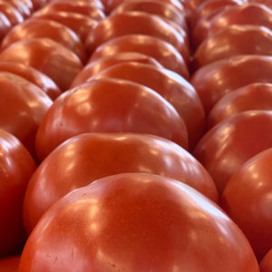 Witten Farm Market Red Tomatoes