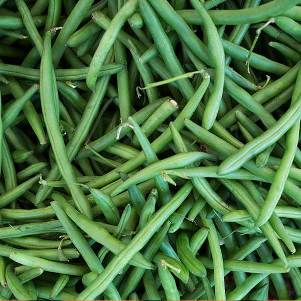 Witten Farm Market Stringless Green Beans