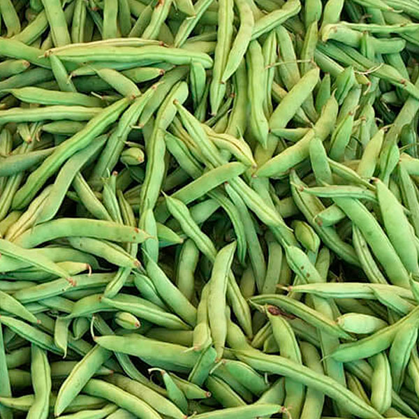 Witten Farm Market Half Runner Green Beans