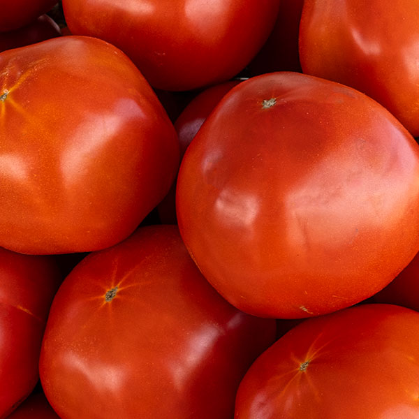 Witten Farm Market NC Tomatoes