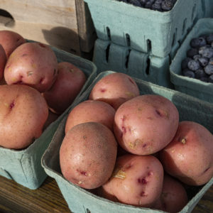 Witten Farm Market Red Skinned Potato Quarts