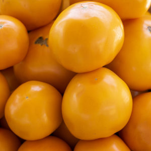 Witten Farm Market Yellow Tomatoes