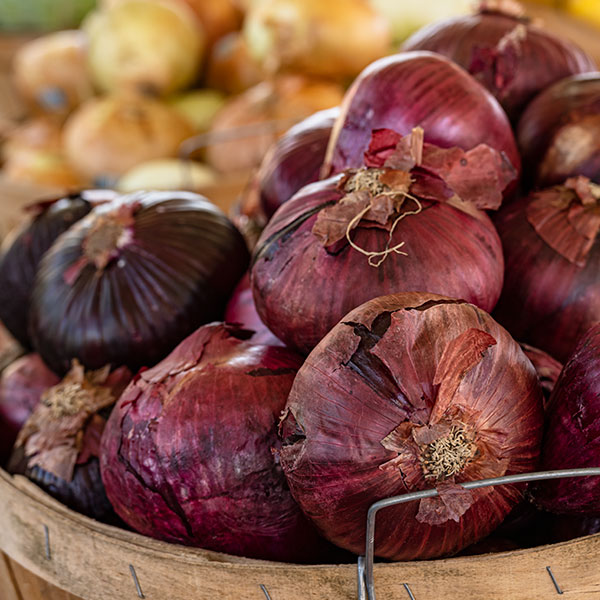 Witten Farm Market Red Onions