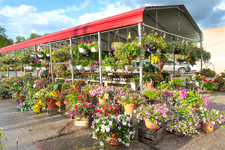 Hanging Flower Baskets Witten Farm Market