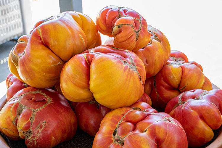 Hillbilly Heirloom Tomatoes Witten Farm Market